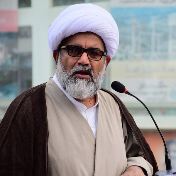 علامہ راجہ ناصر عباس جعفری