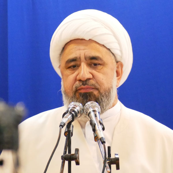 علامہ محمد امین شہیدی