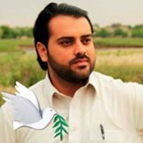 Profile picture of Qasim Ali Shah