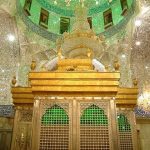 Profile picture of Umme laila sharazi